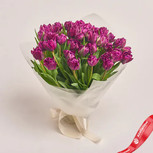Фото 1: Букет из 51 пионовидного фиолетового тюльпана в пленке. Сервис доставки цветов AzaliaNow