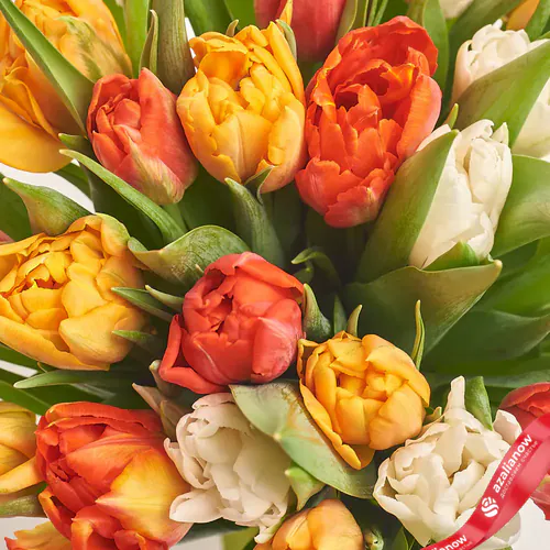 Фото 3: Букет из 15 пионовидных тюльпанов в белой бумаге. Сервис доставки цветов AzaliaNow