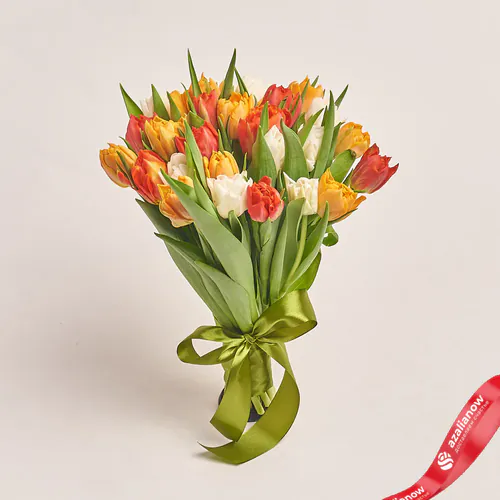 Фото 1: 25 пионовидных тюльпанов микс, Голландия. Сервис доставки цветов AzaliaNow