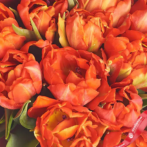 Фото 3: Букет из 15 пионовидных красных тюльпанов в сиреневой пленке. Сервис доставки цветов AzaliaNow