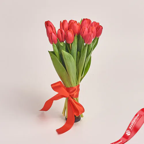 Фото 1: 15 красных тюльпанов, Россия. Сервис доставки цветов AzaliaNow