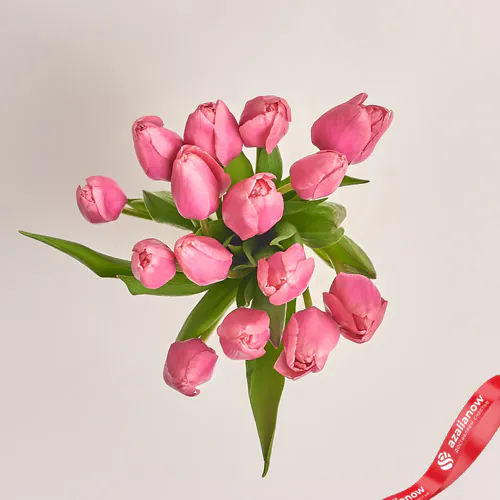 Фото 2: 15 розовых тюльпанов с белой лентой, Россия. Сервис доставки цветов AzaliaNow
