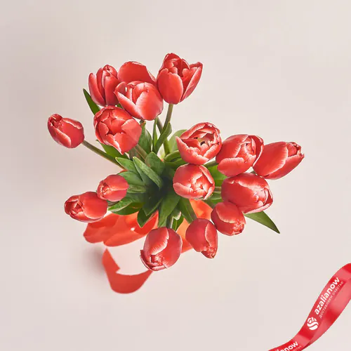 Фото 2: 15 красных тюльпанов, Россия. Сервис доставки цветов AzaliaNow