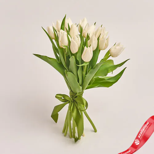 Фото 1: 15 белых тюльпанов, Россия. Сервис доставки цветов AzaliaNow