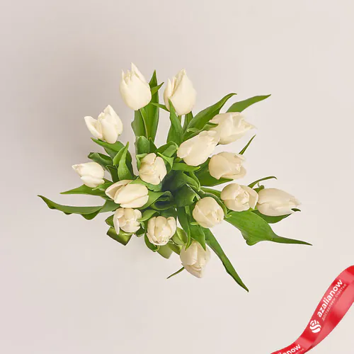 Фото 2: 15 белых тюльпанов с лентой, Россия. Сервис доставки цветов AzaliaNow