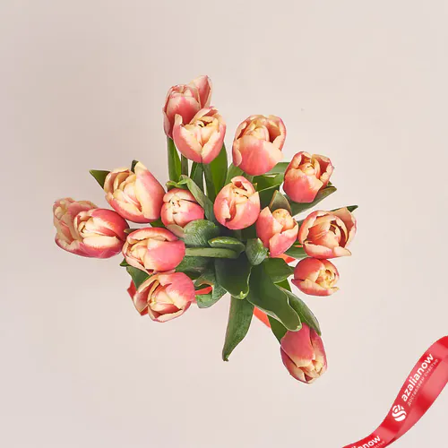 Фото 2: 15 розовых тюльпанов, Россия. Сервис доставки цветов AzaliaNow