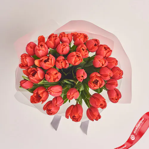 Фото 2: Букет из 35 красных тюльпанов в пленке. Сервис доставки цветов AzaliaNow