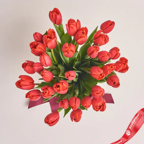 Фото 2: 35 красных тюльпанов, Россия. Сервис доставки цветов AzaliaNow