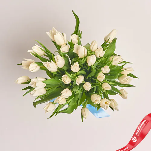 Фото 2: 35 белых тюльпанов, Россия. Сервис доставки цветов AzaliaNow