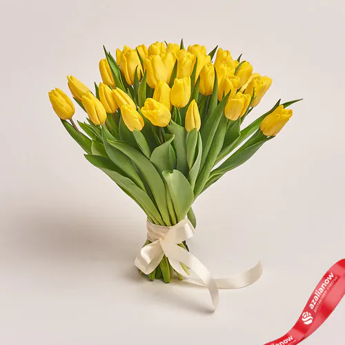 Фото 1: 35 желтых тюльпанов, Россия. Сервис доставки цветов AzaliaNow