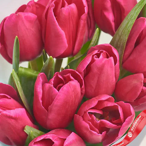 Фото 3: Букет из 51 малинового тюльпана в черной бумаге. Сервис доставки цветов AzaliaNow