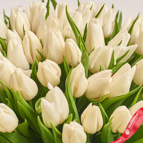 Фото 3: Букет из 51 белого тюльпана в крафте с лентой. Сервис доставки цветов AzaliaNow