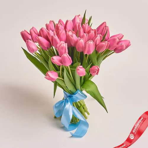 Фото 1: 51 розовый тюльпан с голубой лентой, Россия. Сервис доставки цветов AzaliaNow