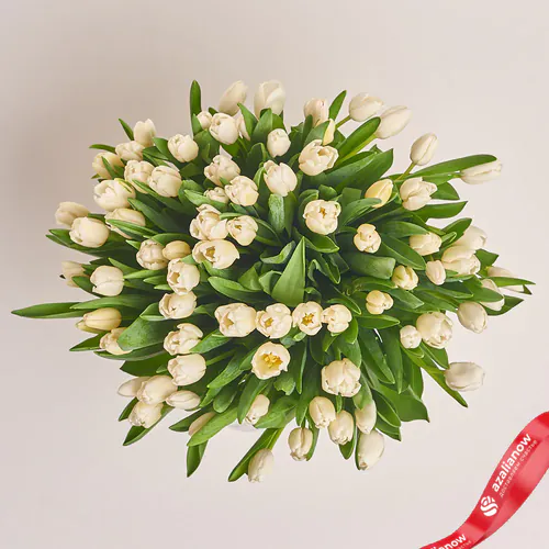 Фото 2: 75 белых тюльпанов, Россия. Сервис доставки цветов AzaliaNow