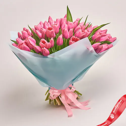 Фото 1: Букет из 101 розового тюльпана в голубой пленке. Сервис доставки цветов AzaliaNow