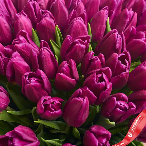 Фото 3: Букет из 101 фиолетового тюльпана в фиолетовой пленке. Сервис доставки цветов AzaliaNow