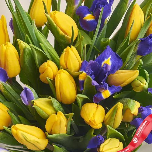 Фото 3: Букет их желтых тюльпанов и синих ирисов в голубой пленке. Сервис доставки цветов AzaliaNow