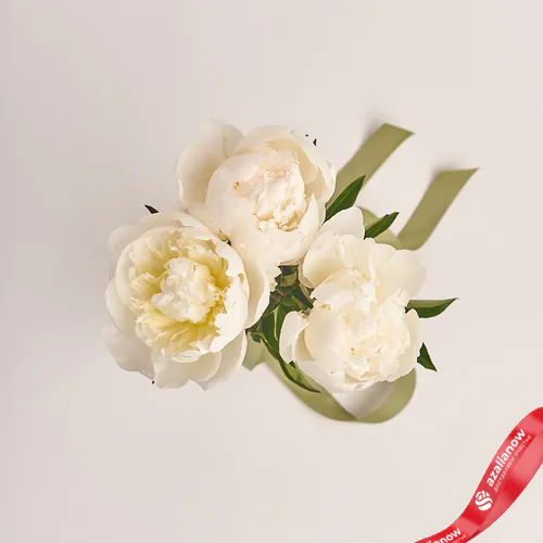 Фото 2: 3 белых пиона, Голландия. Сервис доставки цветов AzaliaNow