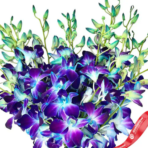 Фото 2: Букет из фиолетовых орхидей «Зиля». Сервис доставки цветов AzaliaNow
