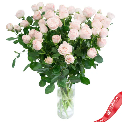 Фото 1: Букет из 11 кустовых пионовидных светло-розовых роз. Сервис доставки цветов AzaliaNow
