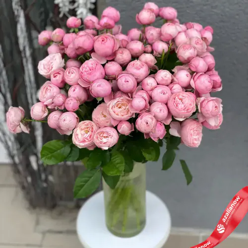 Фото 1: Букет из 13 кустовых пионовидных светло-розовых роз «Милашка». Сервис доставки цветов AzaliaNow