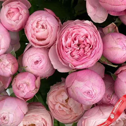 Фото 2: Букет из 13 кустовых пионовидных светло-розовых роз «Милашка». Сервис доставки цветов AzaliaNow
