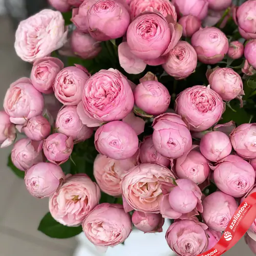 Фото 3: Букет из 13 кустовых пионовидных светло-розовых роз «Милашка». Сервис доставки цветов AzaliaNow