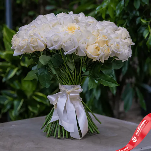 Фото 1: 75 белых роз 70 см, Эквадор. Сервис доставки цветов AzaliaNow
