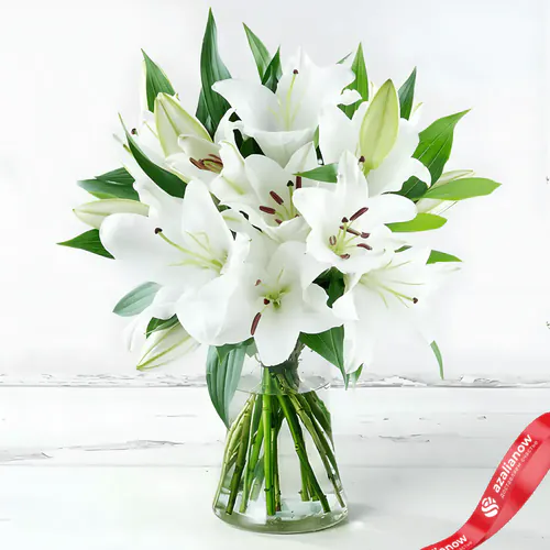 Фото 1: 7 белых лилий, Голландия. Сервис доставки цветов AzaliaNow