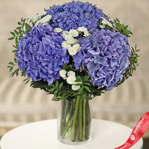 Фото 2: Букет из 3 синих гортензий и 4 белых хризантем «Экзотика». Сервис доставки цветов AzaliaNow