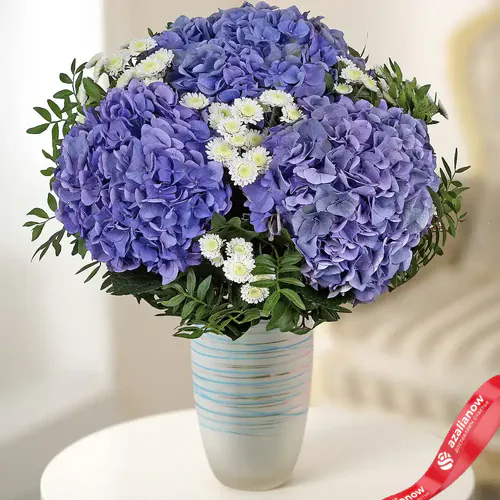 Фото 1: Букет из 3 синих гортензий и 4 белых хризантем «Экзотика». Сервис доставки цветов AzaliaNow
