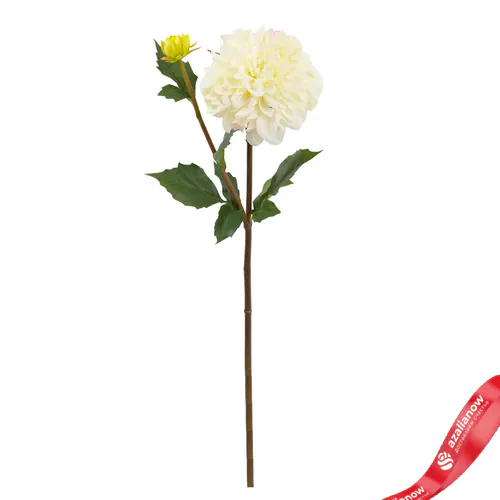 Фото 1: Георгин Искусственный 60 см Белый. Сервис доставки цветов AzaliaNow
