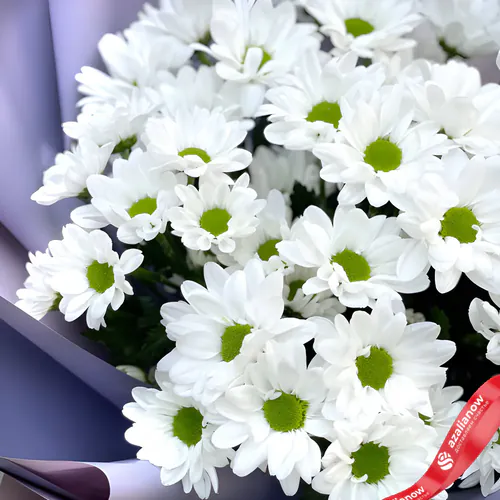 Фото 2: Букет из 7 белых хризантем Ромашка «Классика чувств». Сервис доставки цветов AzaliaNow