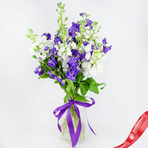 Фото 1: Букет из фиолетовых и белых маттиол «Музыка любви». Сервис доставки цветов AzaliaNow