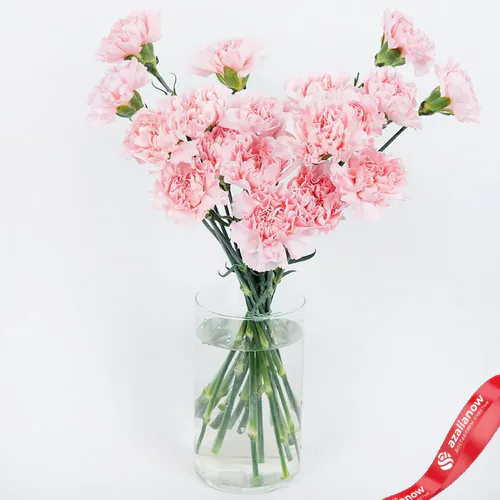 Фото 1: Букет из 19 розовых гвоздик «Сердечная гармония». Сервис доставки цветов AzaliaNow