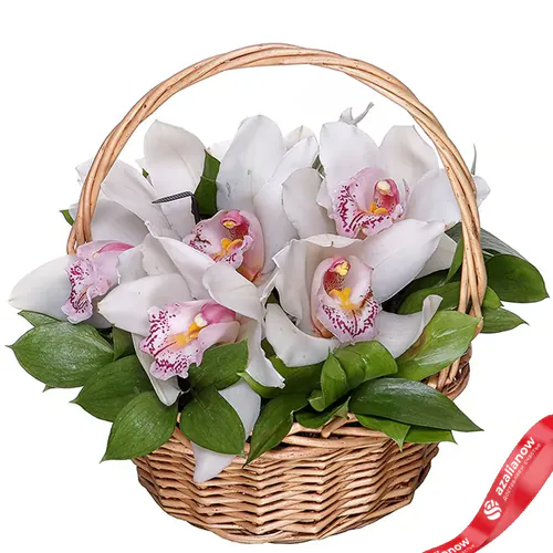 Фото 1: Букет из 7 орхидей в корзине «Жемчуг». Сервис доставки цветов AzaliaNow