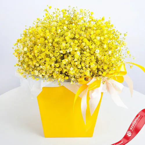 Фото 1: Букет из желтой гипсофилы в коробке «Золотые пески». Сервис доставки цветов AzaliaNow