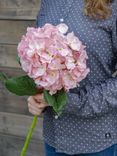 Маленькое фото 1: Гортензия Искусственный 90 см Розовый. Сервис доставки цветов AzaliaNow