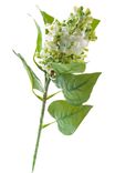 Маленькое фото 1: Сирень Искусственный 45 см Белый